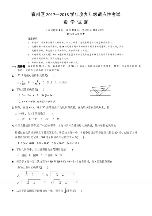 湖北省襄阳市襄州区2018年中考适应性考试数学试题及答案