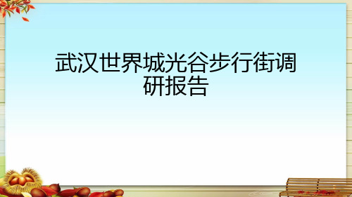 武汉世界城光谷步行街调研报告