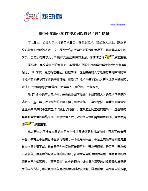 小学毕业学IT技术可以有好“钱”途吗