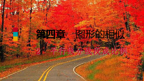 九年级数学上册 第四章 图形的相似 4.2 平行线分线段成比例预习课件