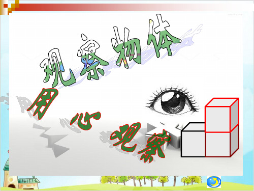 五年级【下】数学-第一单元 观察物体(三) 人教新课标-优秀课件 (20张)