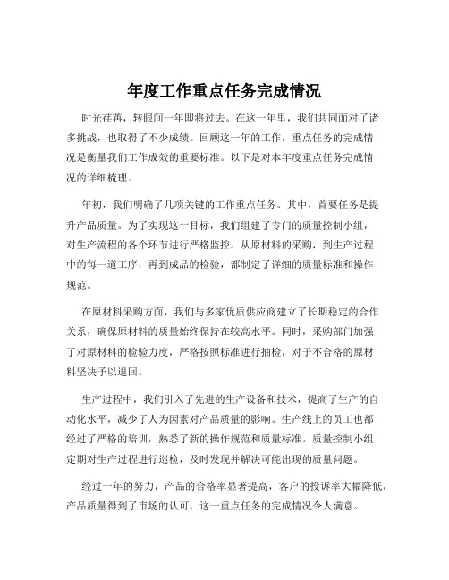 年度工作重点任务完成情况