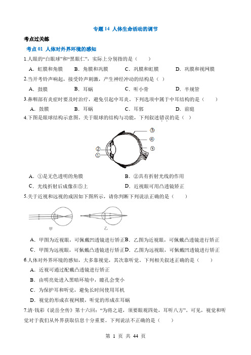 2024中考生物一轮复习讲练测专题14 人体生命活动的调节(练习)