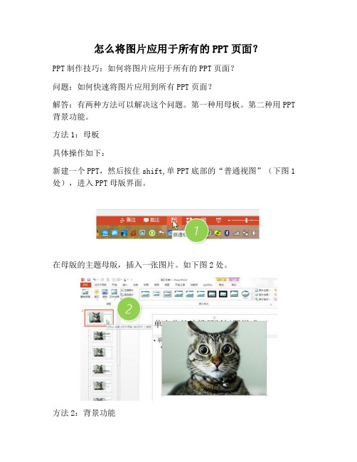 【PPT实用技巧】怎么将图片应用于所有的PPT页面？
