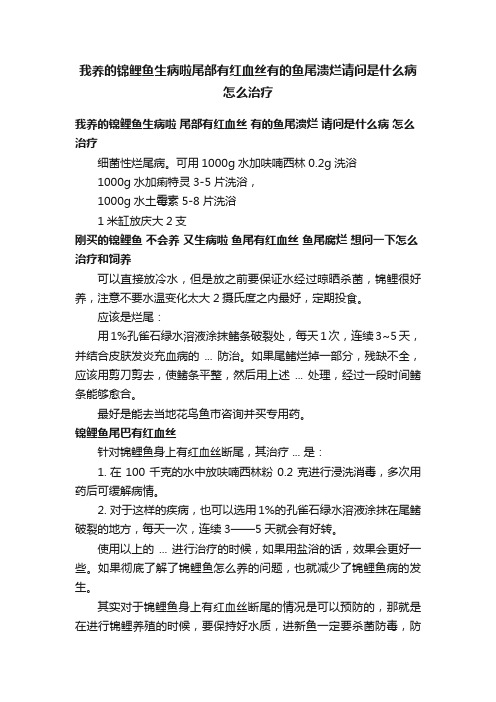 我养的锦鲤鱼生病啦尾部有红血丝有的鱼尾溃烂请问是什么病怎么治疗