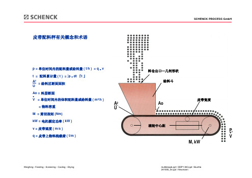 申克皮带配料秤