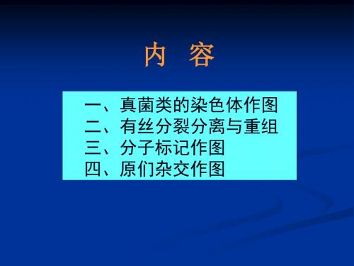真核生物染色体作图