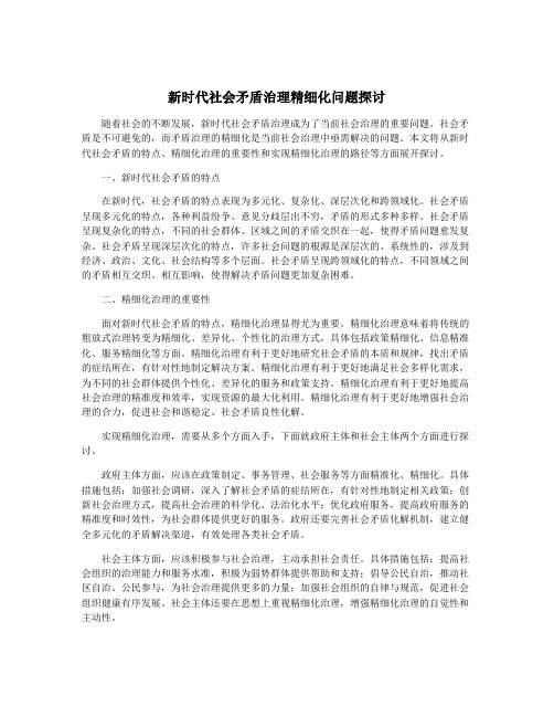 新时代社会矛盾治理精细化问题探讨