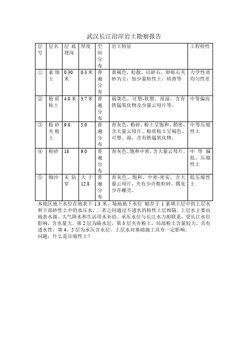 武汉长江沿岸岩土勘察报告