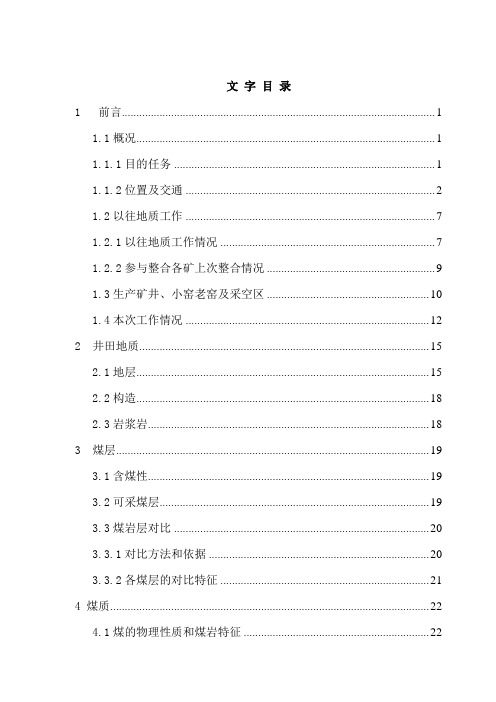 某煤矿资源整合储量核实报告