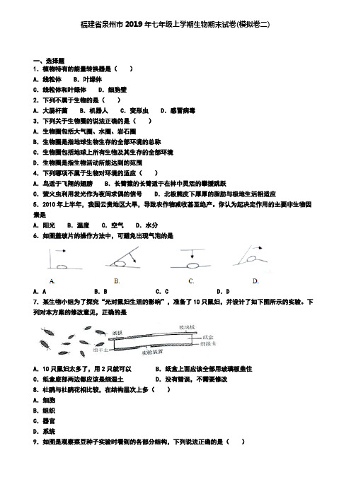 福建省泉州市2019年七年级上学期生物期末试卷(模拟卷二)