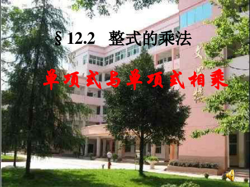 12.2.1单项式与单项式相乘