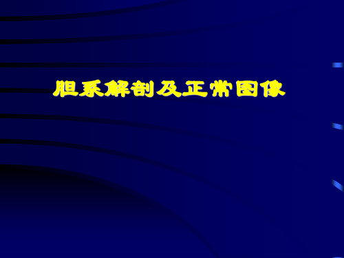 胆囊超声诊断学PPT文档