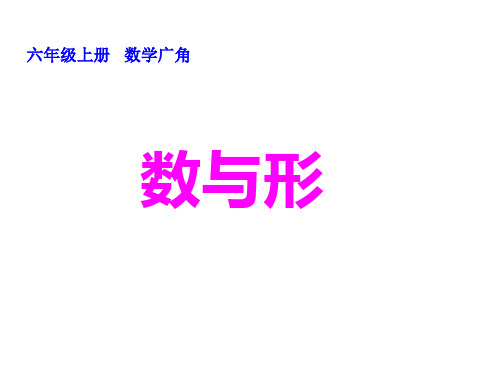 六年级上册《数学广角》数与形人教新课标