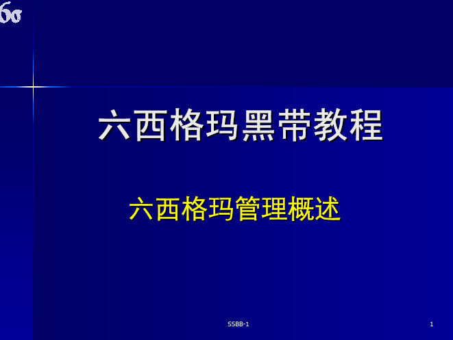 六西格玛黑带教程