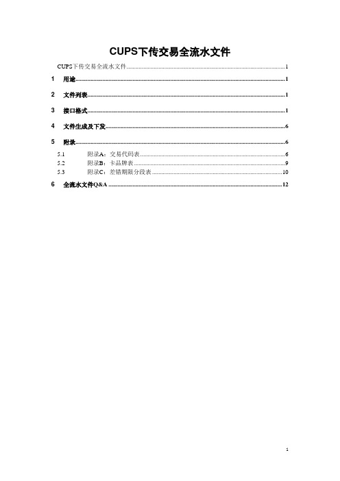 CUPS下发交易全流水文件格式(060220)分析