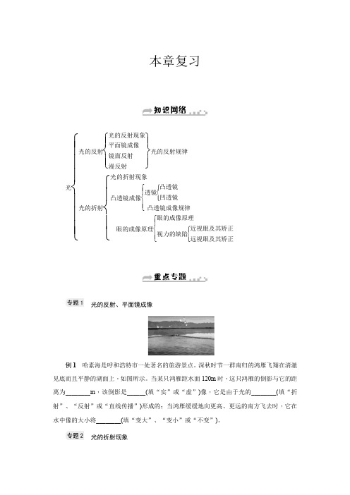 2021年八下华师大版科学第二单元复习