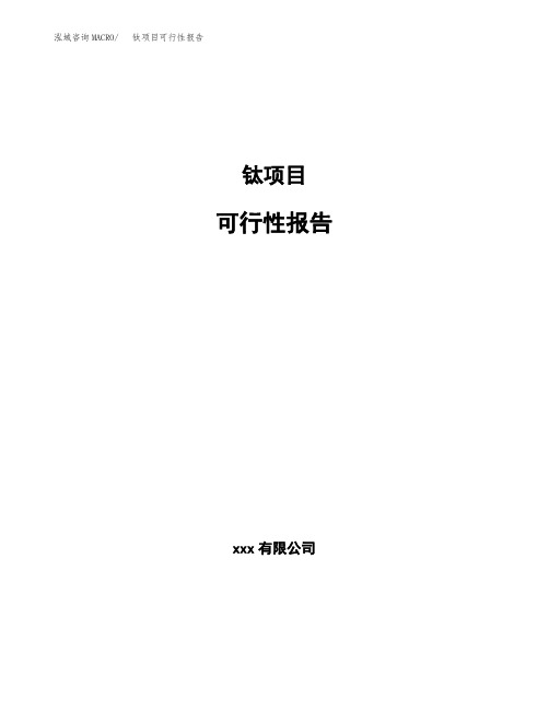 钛项目可行性报告模板