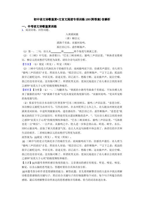 初中语文诗歌鉴赏+文言文阅读专项训练100(附答案)含解析