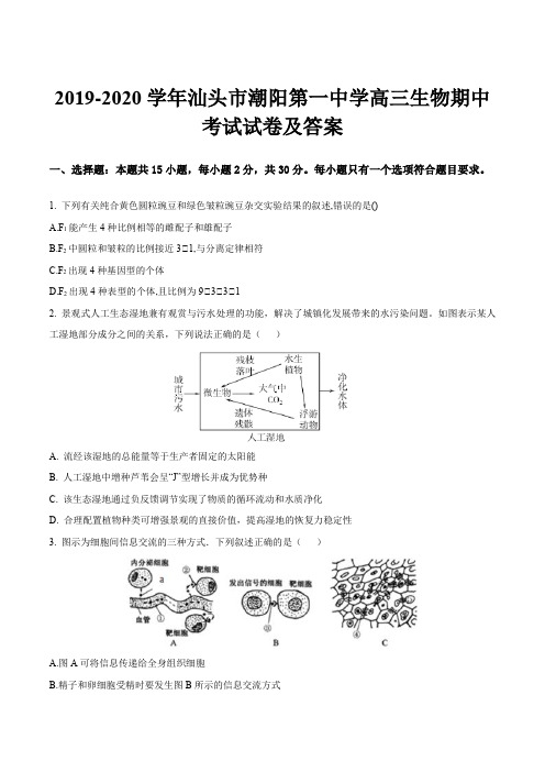 2019-2020学年汕头市潮阳第一中学高三生物期中考试试卷及答案