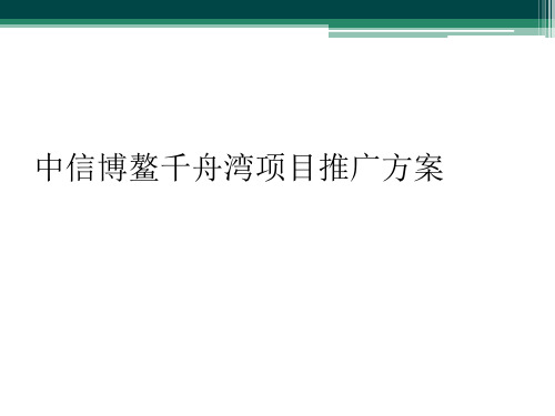 中信博鳌千舟湾项目推广方案