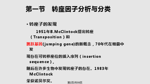 转座因子遗传分析.pptx