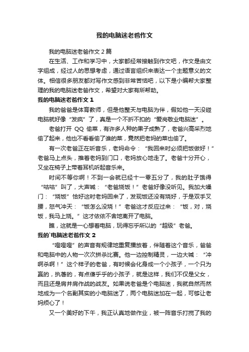 我的电脑迷老爸作文2篇