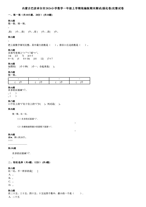 内蒙古巴彦淖尔市2024小学数学一年级上学期统编版期末测试(强化卷)完整试卷