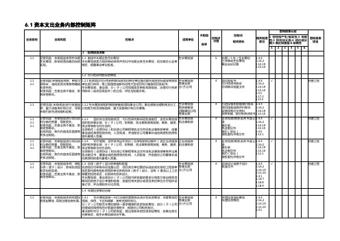 6.1资本支出业务控制矩阵