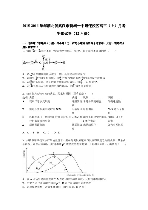 湖北省武汉市新洲一中阳逻校区2016届高三(上)月考生物试卷(12月份)(解析版)