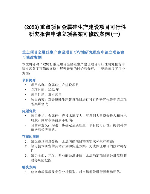 (2023)重点项目金属硅生产建设项目可行性研究报告申请立项备案可修改案例(一)