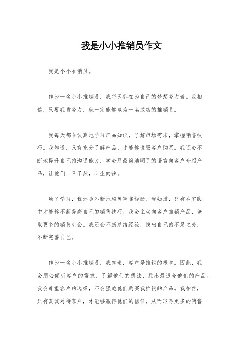 我是小小推销员作文