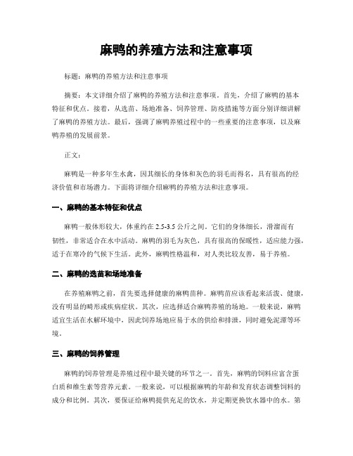 麻鸭的养殖方法和注意事项