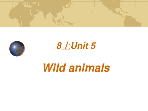 8A Unit5 Wild animals复习课件1