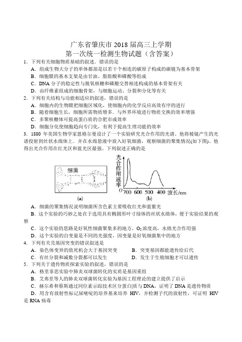 广东省肇庆市2018届高三上学期第一次统一检测生物试题(含答案)