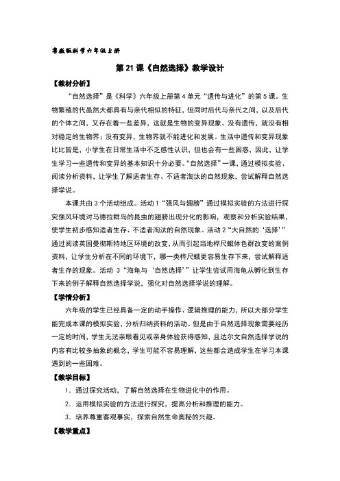 自然选择教案及练习