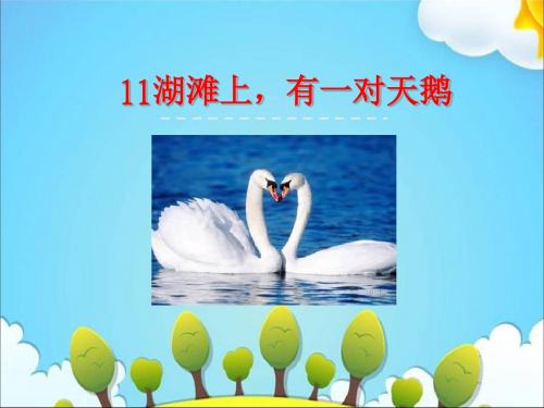 三年级上册语文课件-11湖滩上,有一对天鹅|冀教版