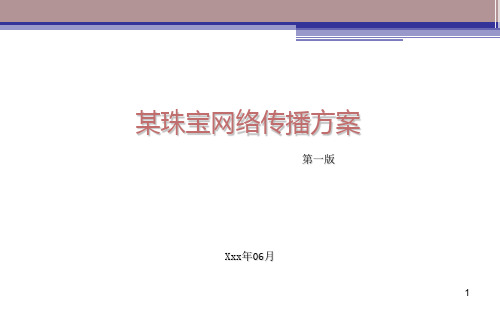 某珠宝网络传播方案第一版