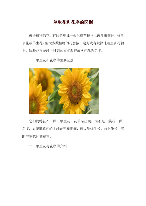 单生花和花序的区别