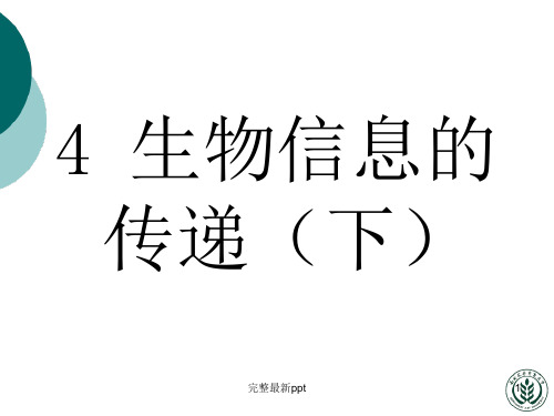 分子生物学完整—蛋白质翻译ppt课件