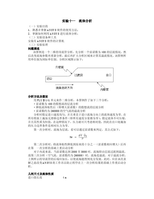 试验十一流体分析