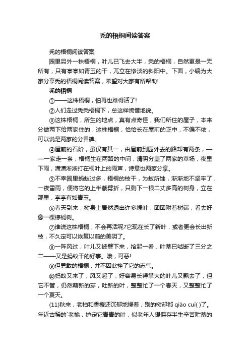 秃的梧桐阅读答案