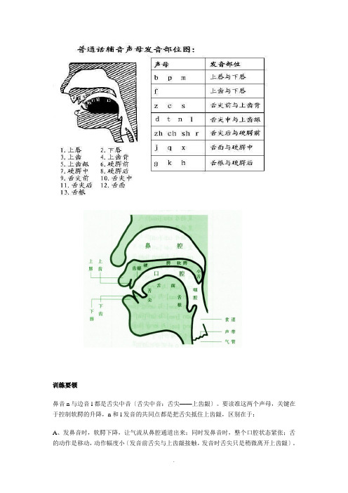 鼻音边音训练要领 