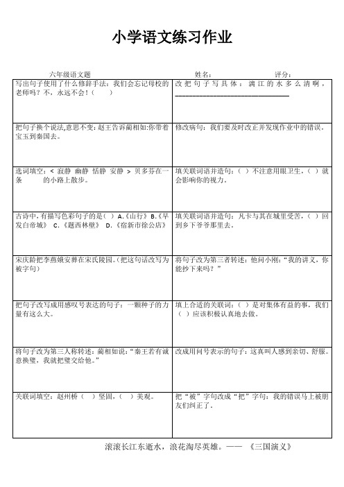 小学六年级语文课堂延伸练习II (2)