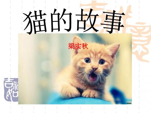 《猫的故事》PPT课件3 (共10张PPT)