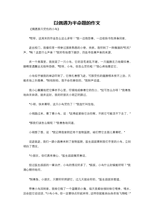 以偶遇为半命题的作文