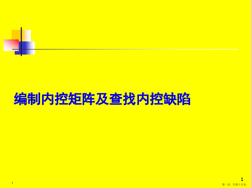 编制内控矩阵及查找内控缺陷(45)