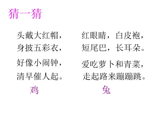 五年级上册数学课件-9.1 数学广角——鸡兔同笼 ｜冀教版  (共16张PPT)