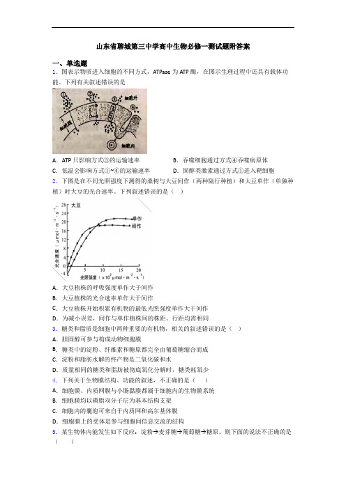 山东省聊城第三中学高中生物必修一测试题附答案