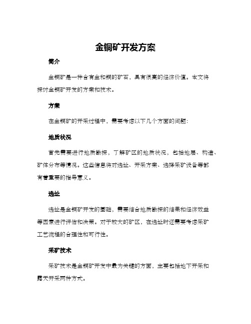 金铜矿开发方案